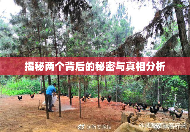 揭秘两个背后的秘密与真相分析