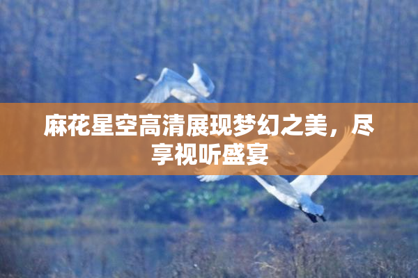 麻花星空高清展现梦幻之美，尽享视听盛宴