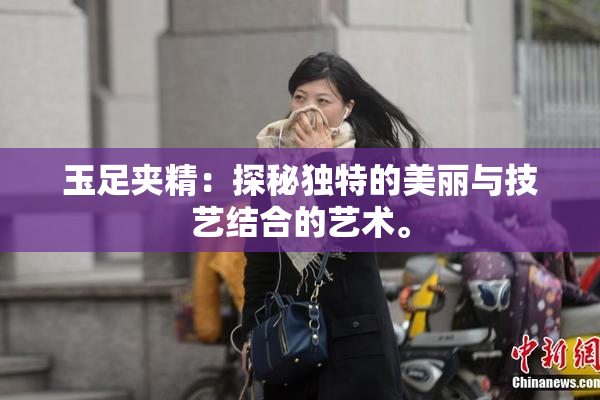 玉足夹精：探秘独特的美丽与技艺结合的艺术。