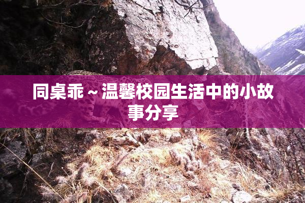 同桌乖～温馨校园生活中的小故事分享