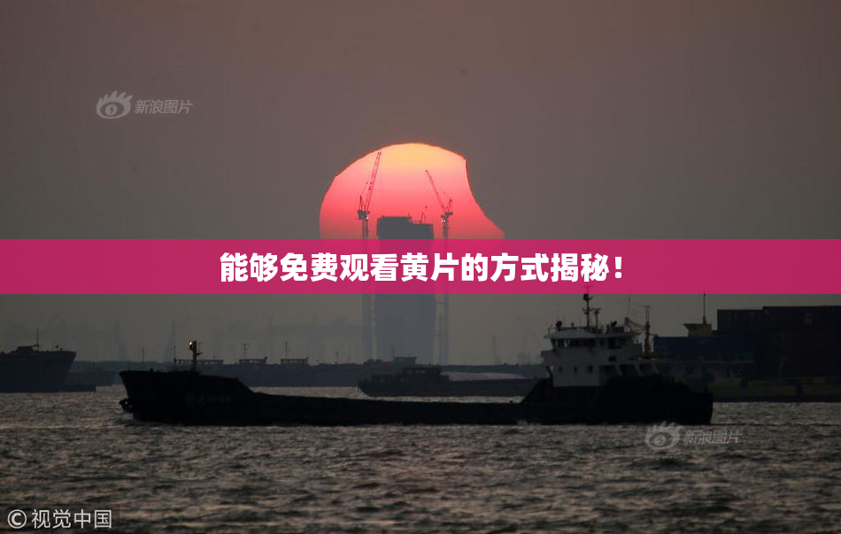 能够免费观看黄片的方式揭秘！