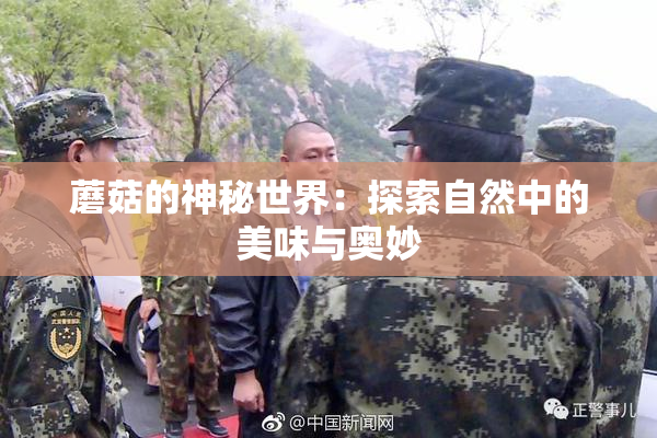 蘑菇的神秘世界：探索自然中的美味与奥妙
