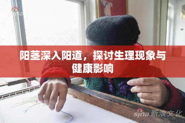 阳茎深入阳道，探讨生理现象与健康影响