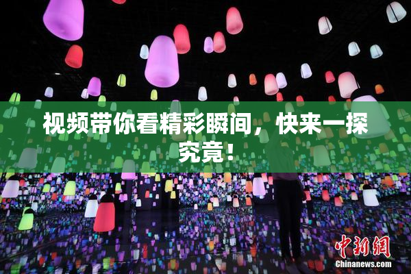 视频带你看精彩瞬间，快来一探究竟！