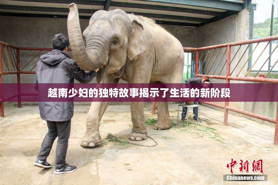 越南少妇的独特故事揭示了生活的新阶段