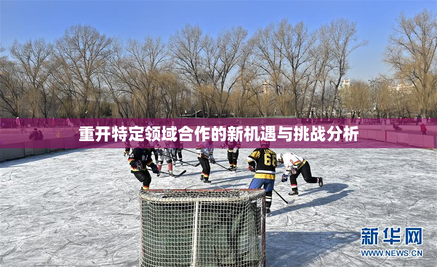 重开特定领域合作的新机遇与挑战分析