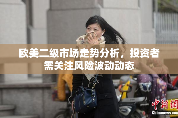欧美二级市场走势分析，投资者需关注风险波动动态