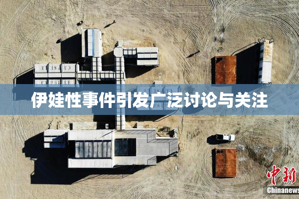 伊娃性事件引发广泛讨论与关注
