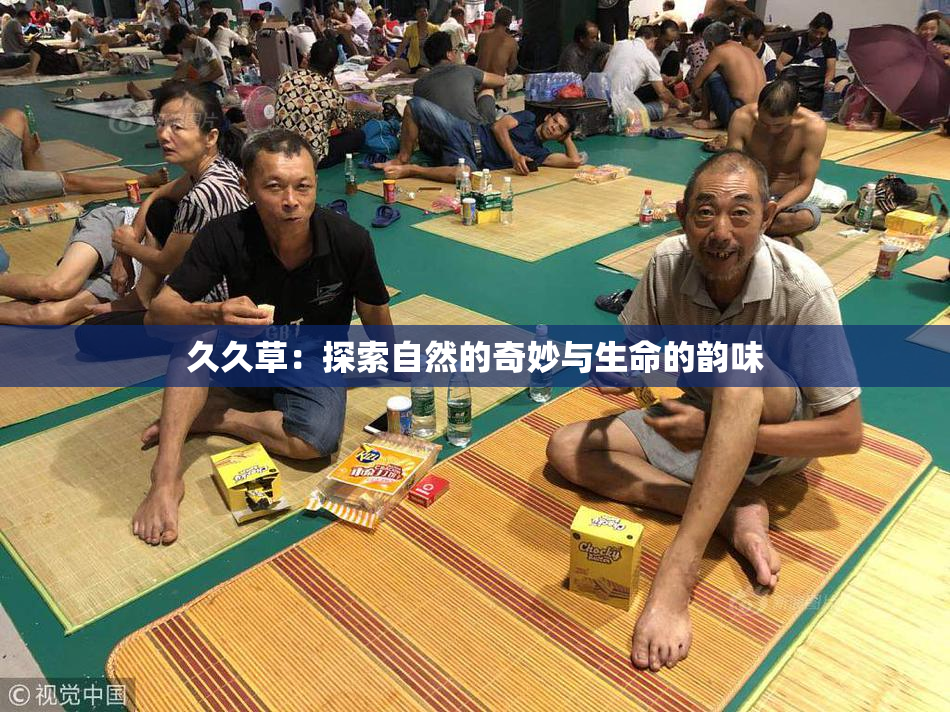久久草：探索自然的奇妙与生命的韵味
