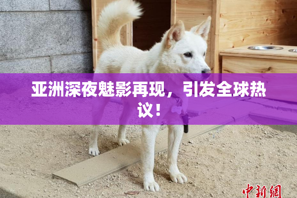 亚洲深夜魅影再现，引发全球热议！