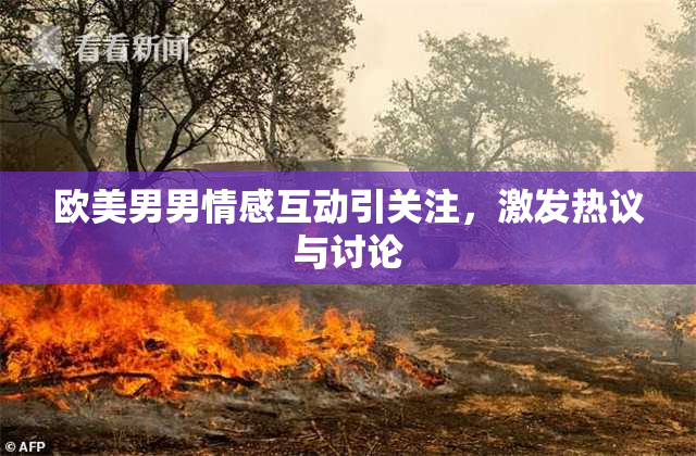 欧美男男情感互动引关注，激发热议与讨论