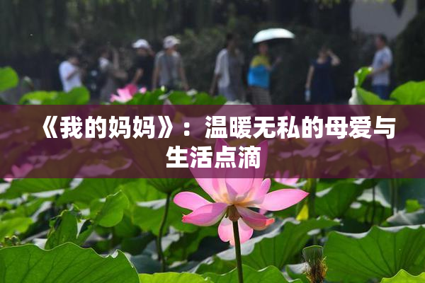 《我的妈妈》：温暖无私的母爱与生活点滴