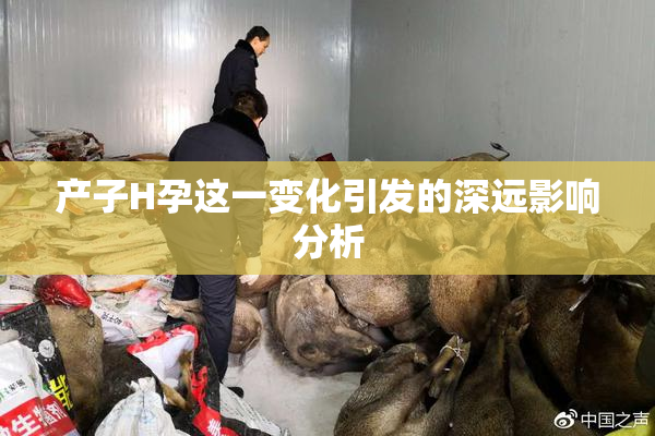 产子H孕这一变化引发的深远影响分析