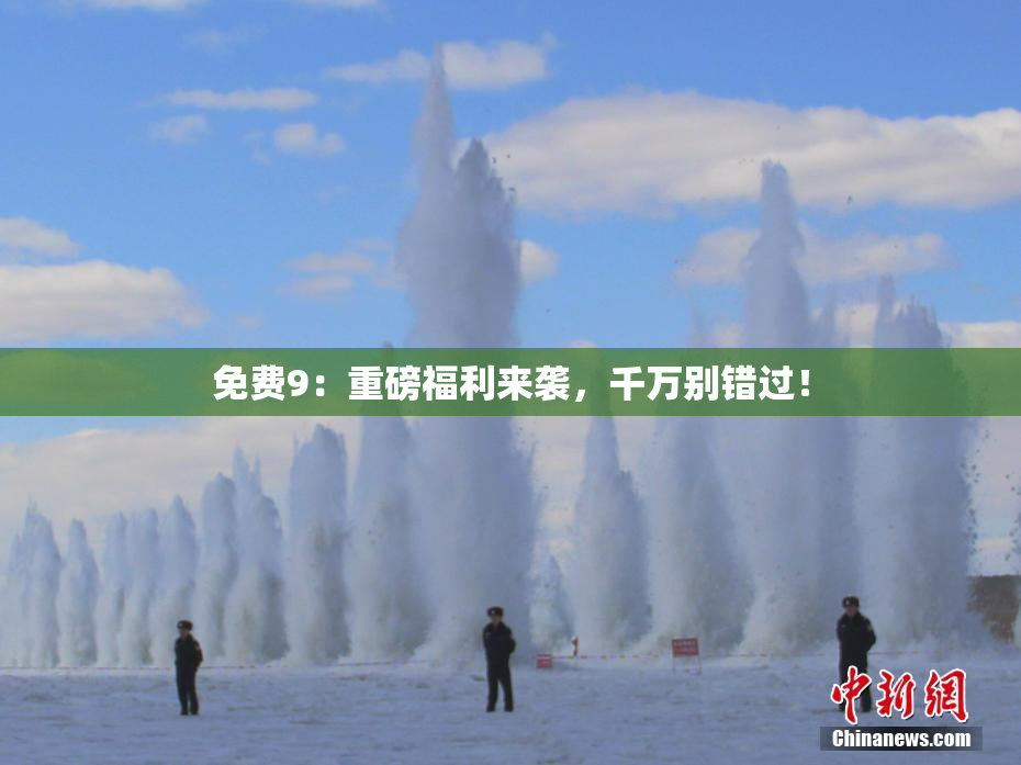 免费9：重磅福利来袭，千万别错过！