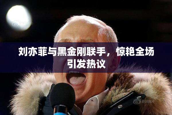 刘亦菲与黑金刚联手，惊艳全场引发热议