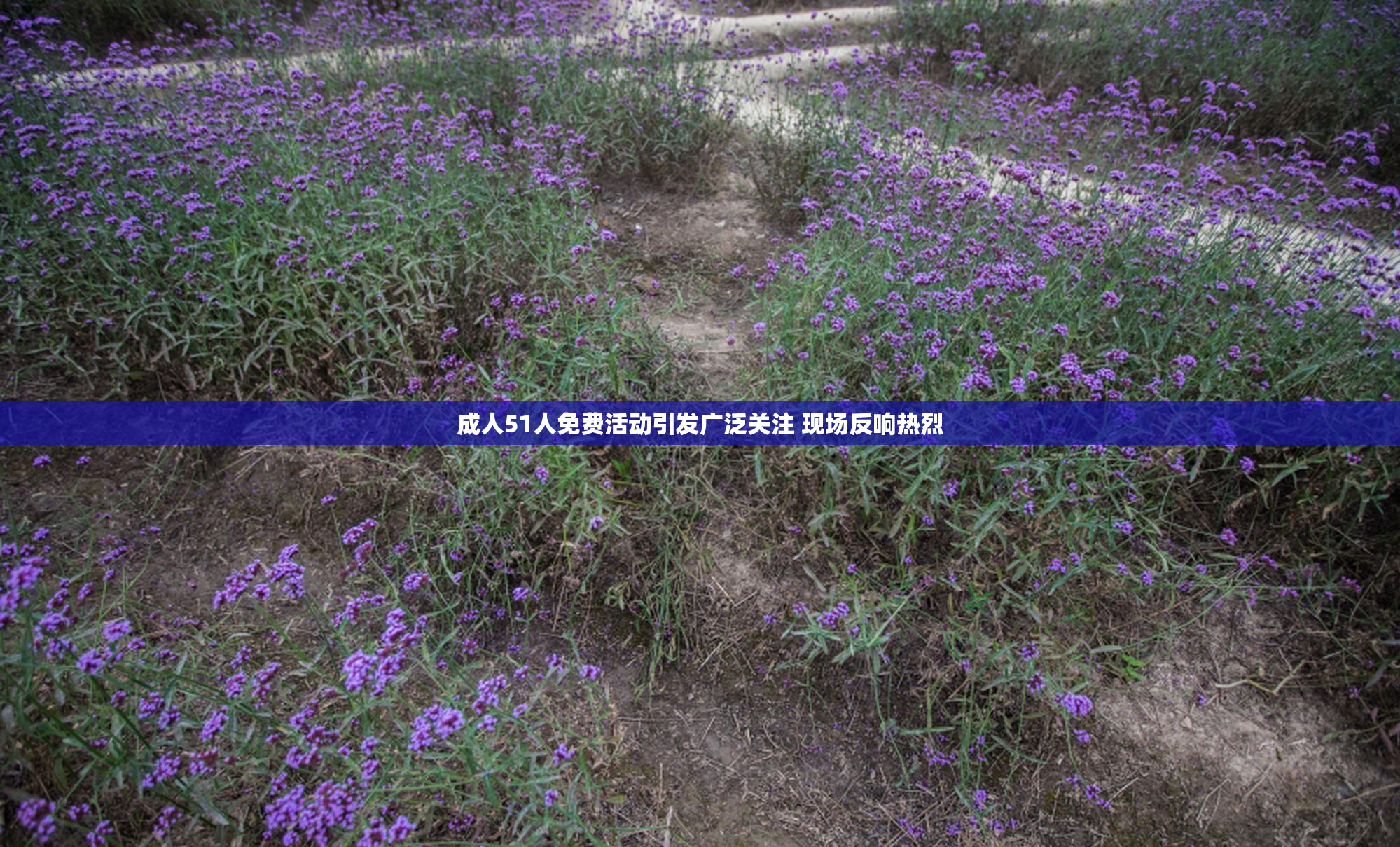 成人51人免费活动引发广泛关注 现场反响热烈