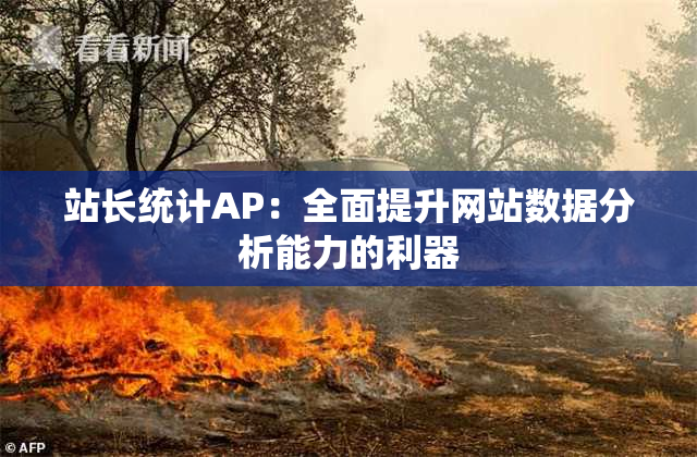 站长统计AP：全面提升网站数据分析能力的利器