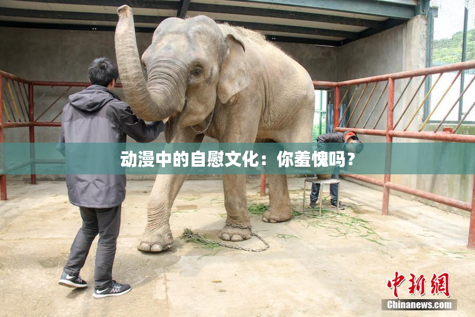 动漫中的自慰文化：你羞愧吗？