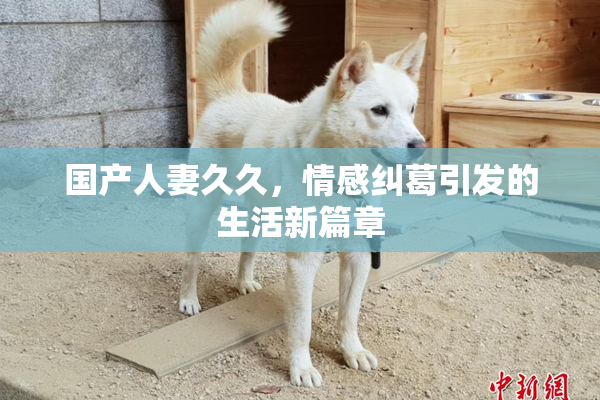 国产人妻久久，情感纠葛引发的生活新篇章