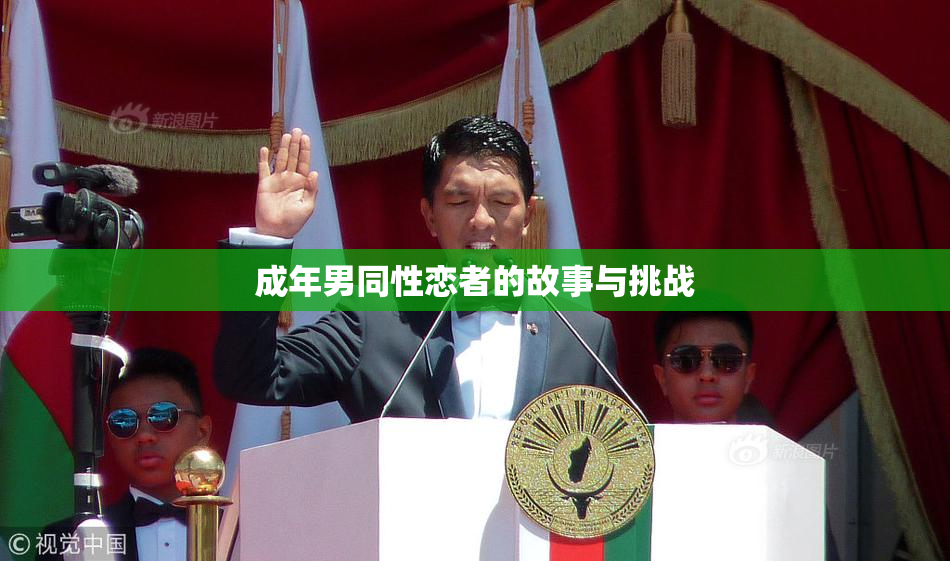 成年男同性恋者的故事与挑战