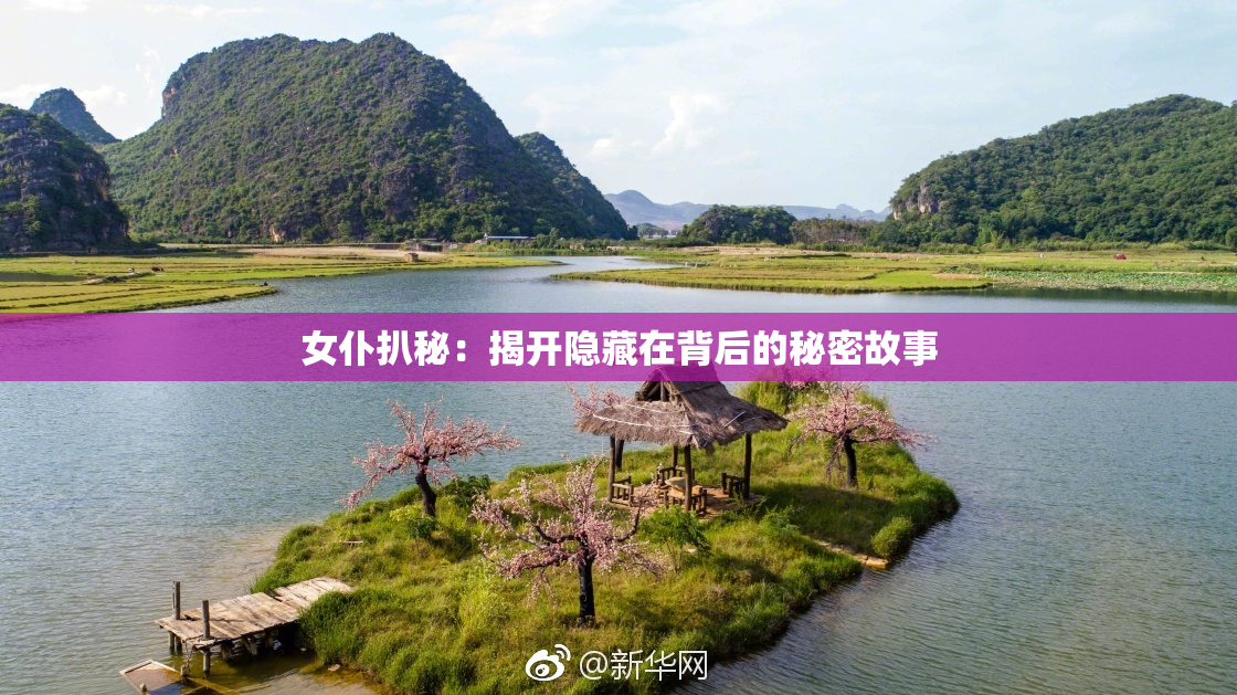 女仆扒秘：揭开隐藏在背后的秘密故事