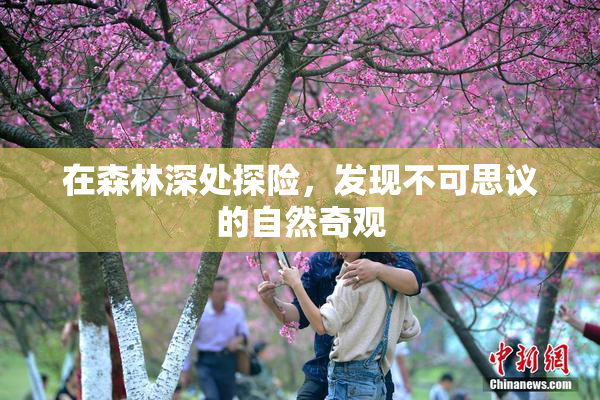 在森林深处探险，发现不可思议的自然奇观