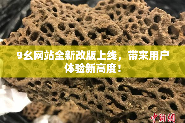 9幺网站全新改版上线，带来用户体验新高度！