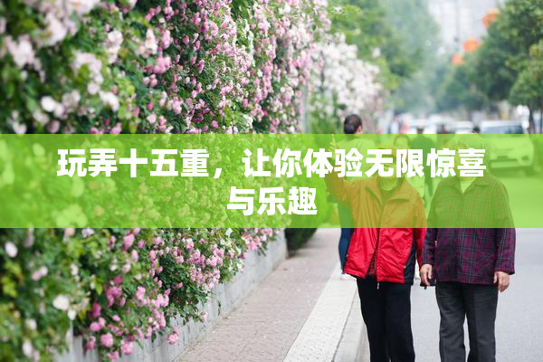玩弄十五重，让你体验无限惊喜与乐趣