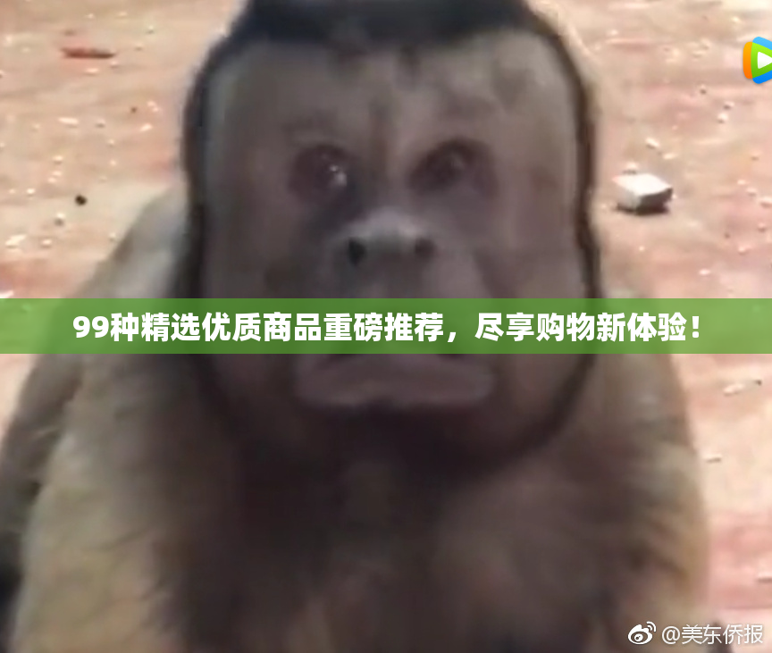 99种精选优质商品重磅推荐，尽享购物新体验！