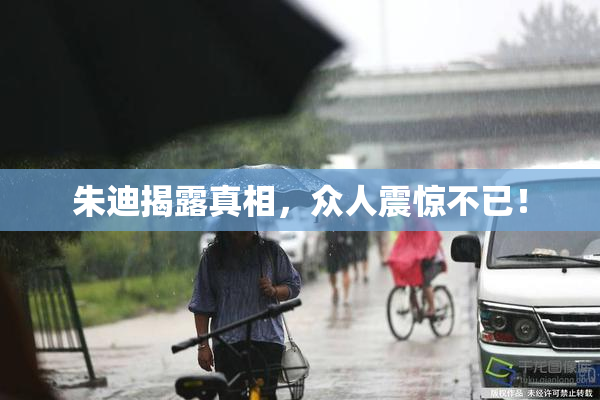 朱迪揭露真相，众人震惊不已！