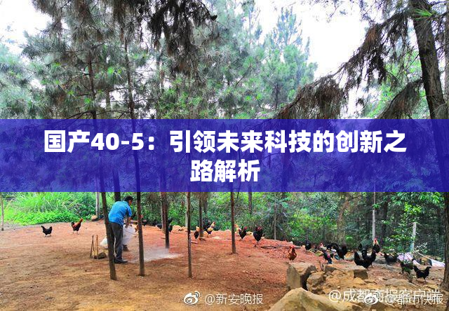 国产40-5：引领未来科技的创新之路解析