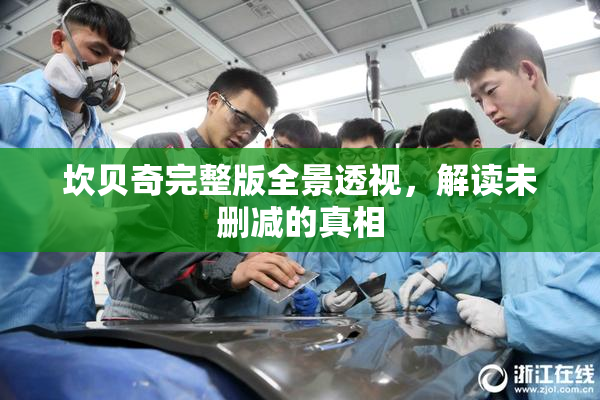 坎贝奇完整版全景透视，解读未删减的真相
