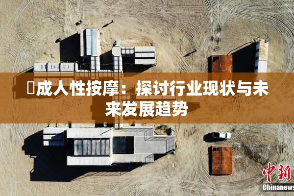 巜成人性按摩：探讨行业现状与未来发展趋势