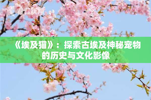 《埃及猫》：探索古埃及神秘宠物的历史与文化影像
