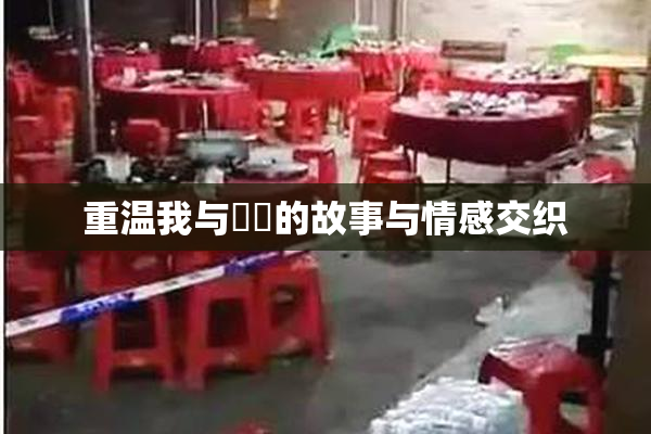 重温我与妺妺的故事与情感交织