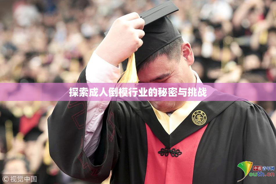 探索成人倒模行业的秘密与挑战