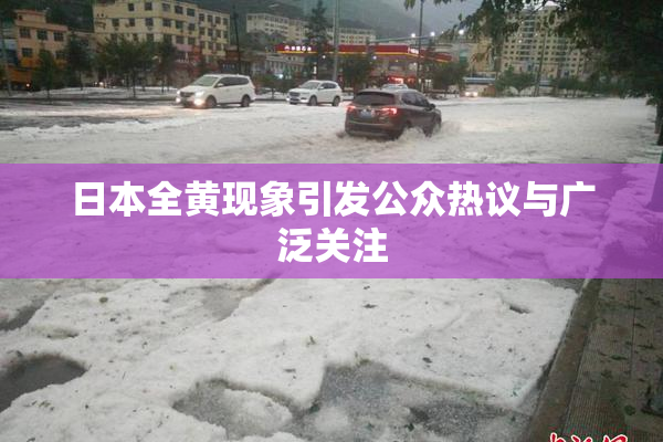 日本全黄现象引发公众热议与广泛关注