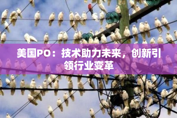 美国PO：技术助力未来，创新引领行业变革