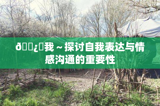 🌿‌我～探讨自我表达与情感沟通的重要性