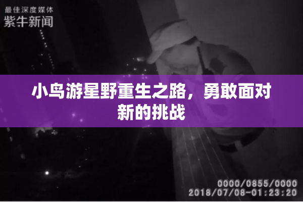 小鸟游星野重生之路，勇敢面对新的挑战