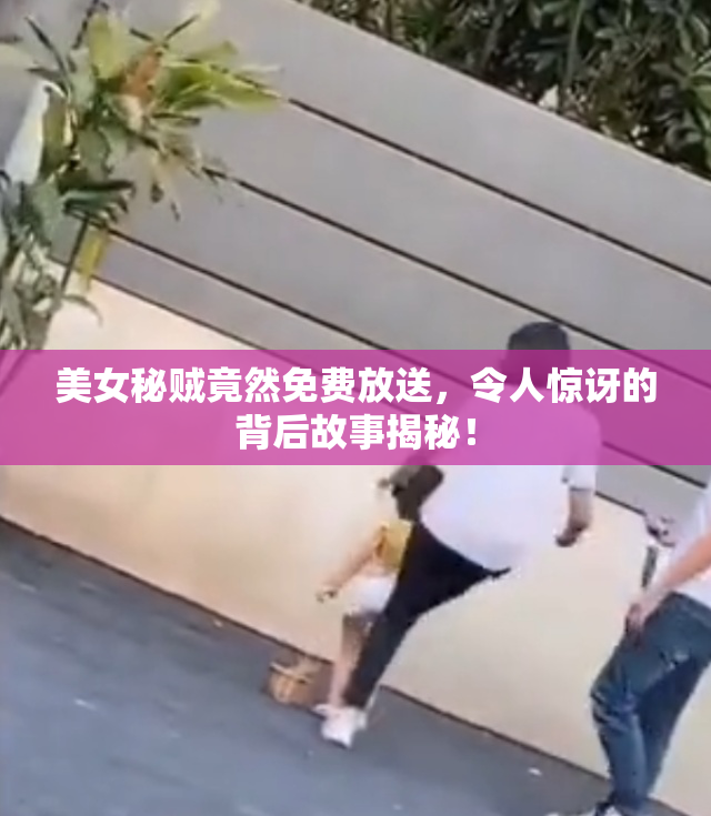 美女秘贼竟然免费放送，令人惊讶的背后故事揭秘！