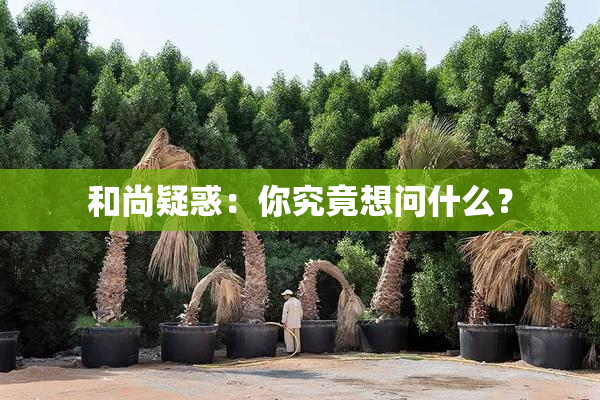 和尚疑惑：你究竟想问什么？