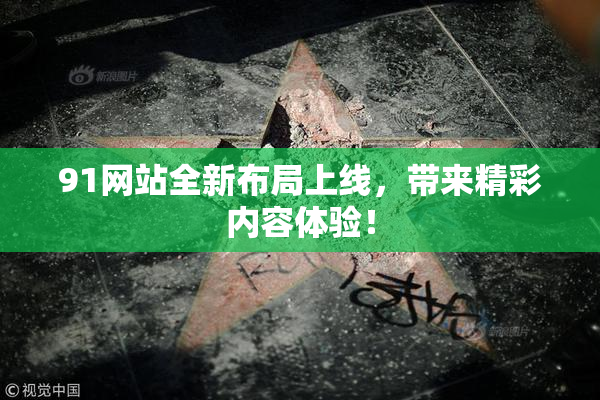91网站全新布局上线，带来精彩内容体验！