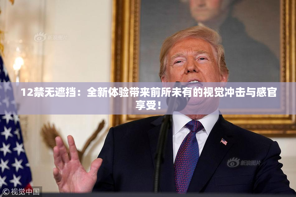 12禁无遮挡：全新体验带来前所未有的视觉冲击与感官享受！