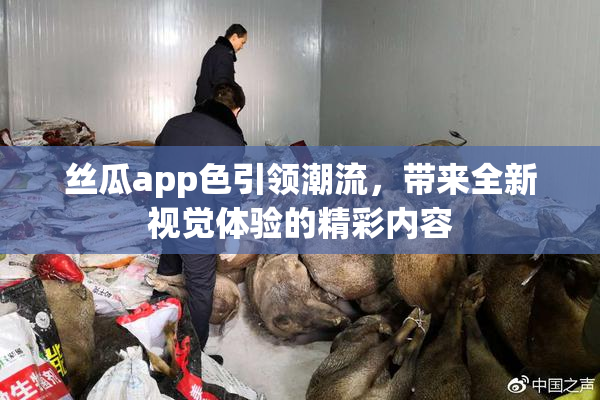 丝瓜app色引领潮流，带来全新视觉体验的精彩内容