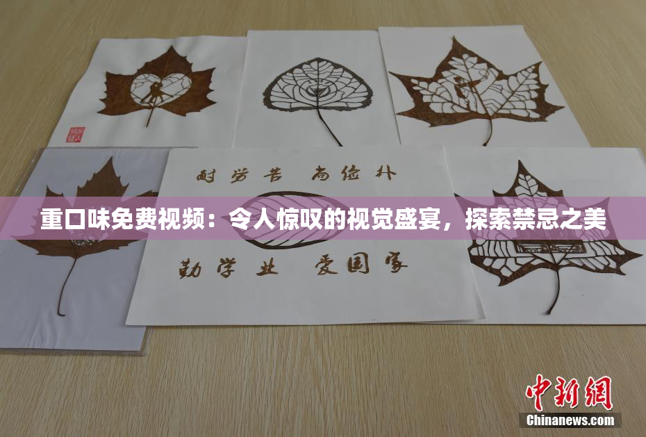 重口味免费视频：令人惊叹的视觉盛宴，探索禁忌之美