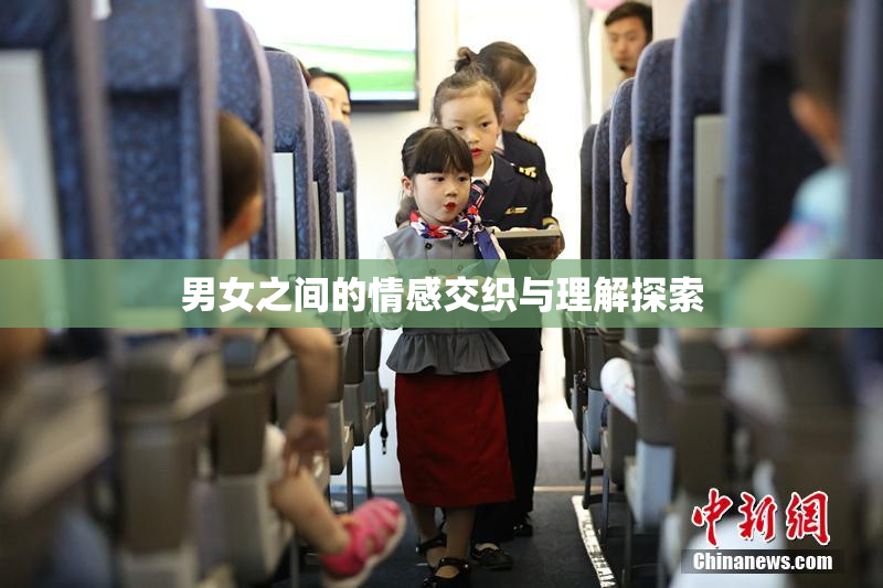 男女之间的情感交织与理解探索
