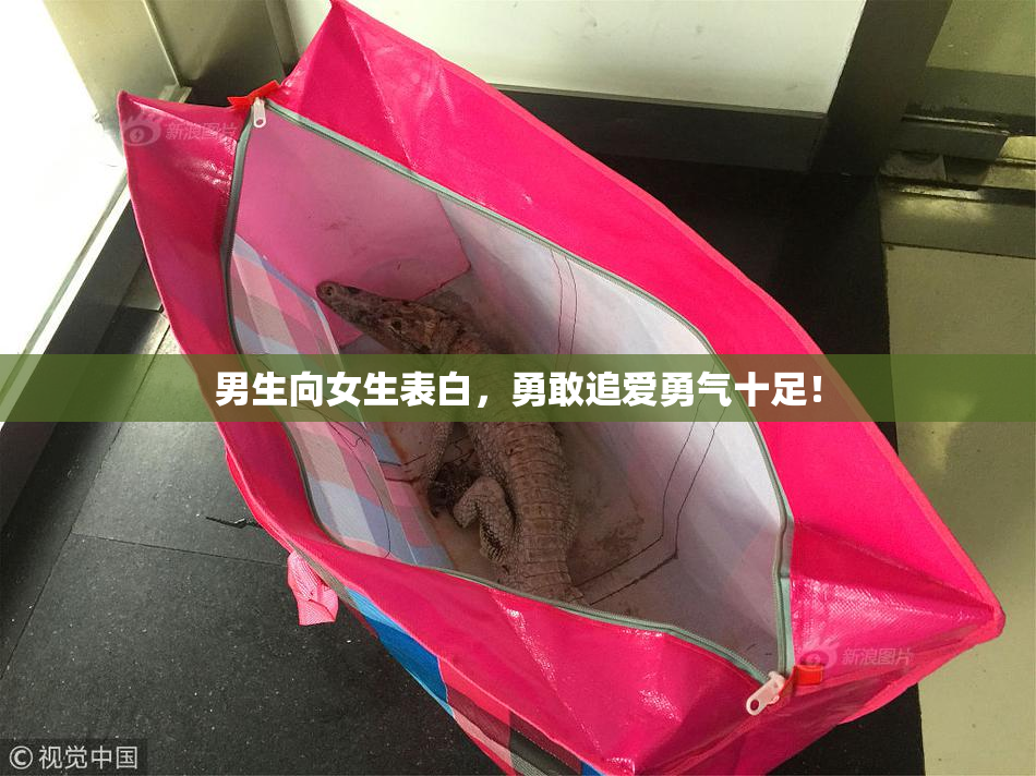 男生向女生表白，勇敢追爱勇气十足！