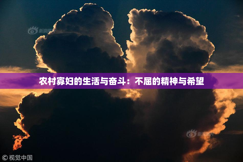 农村寡妇的生活与奋斗：不屈的精神与希望
