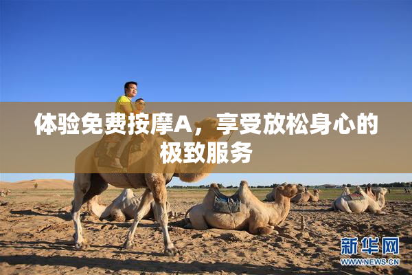 体验免费按摩A，享受放松身心的极致服务